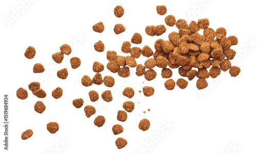 Pile of dry cat food isolated on white background, top view, vector illustration, pet food, cat food bowl, dry kibble, snack for cats, animal care, pet nutrition, natural pet food.