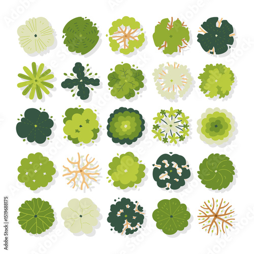 vector set top view of tree illustration isolated on white background.