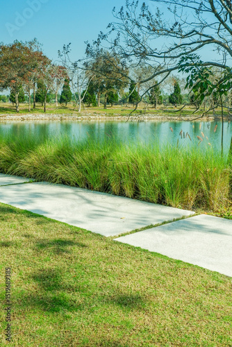 Garden stone path with green grass with blue lake in forest,backyard panoramic view on a beautiful sunny day, Landscape view..