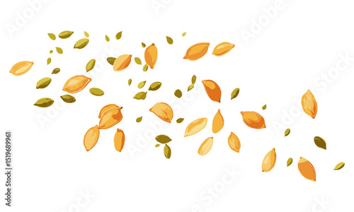 Pumpkin seeds floating on white background, vector illustration, autumn harvest, healthy snack, plant-based diet, nature, clean eating, organic food, energy boost.