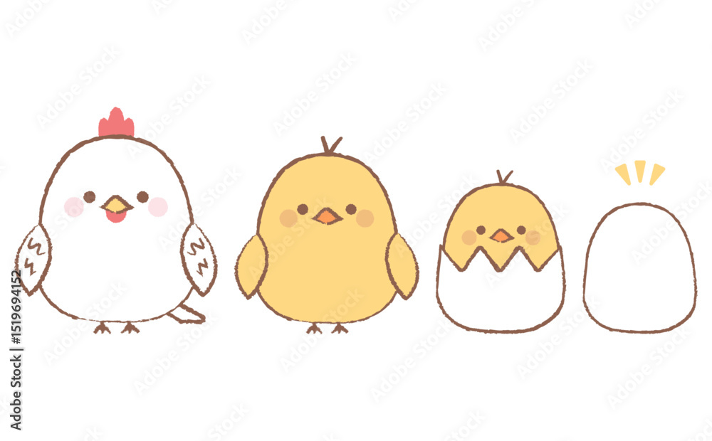 Fototapeta premium かわいいニワトリとヒヨコの手描き風イラストセット