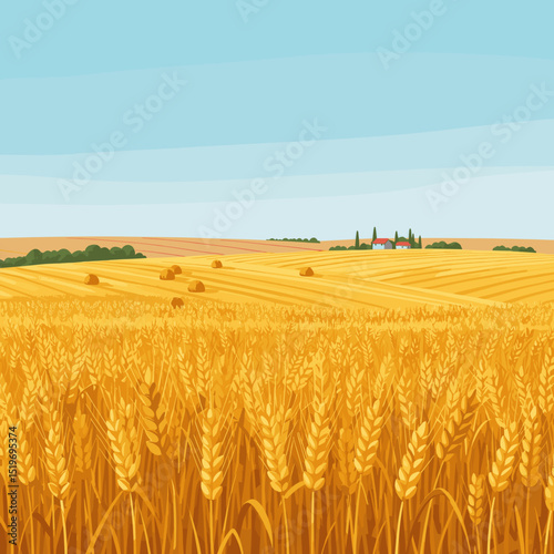 Golden wheat fields stretch under a clear blue sky with distant houses and trees
