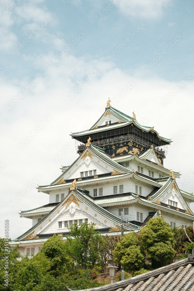 Fototapeta premium Osaka Castle
