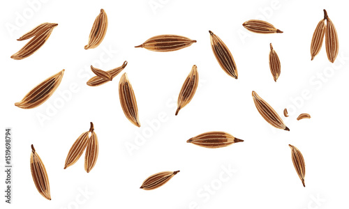Cumin seeds top view isolated on white, organic spice, kitchen, cooking, seasoning, vector illustration, culinary herbs, natural, flavor, healthy ingredients.