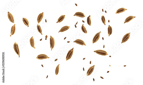 Isolated cumin seeds on white, top view, spice herb, seasoning, cooking, organic, vector illustration, culinary, natural flavor, kitchen, aromatic.