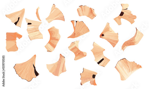 Wooden spiral pencil shavings, sharpener, isolated on white, vector illustration, office supplies, stationery, writing tools, pencil, art materials, creative design, clean background.