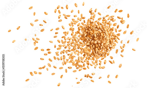 Grains pile, wheat kernels isolated on white background, vector illustration, crop harvest, organic wheat, healthy grains, farm produce, natural food, agriculture, food source.