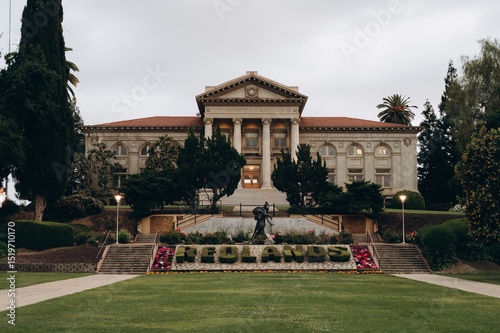 Redlands University in spring, everything is green, cherry blossoms are blooming on the alley leading to the university entrance.