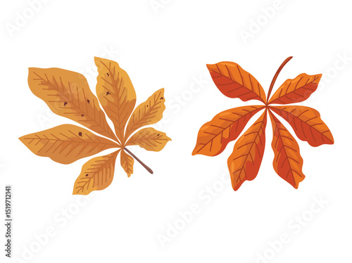 Horse chestnut. Autumn, fall. Flat vector clipart, illustration with isolated background.