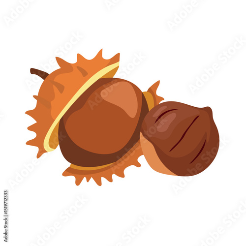 Horse chestnut. Autumn, fall. Flat vector clipart, illustration with isolated background.