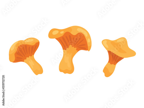 Chanterelle mushroom. Autumn, fall. Flat vector clipart, illustration with isolated background.