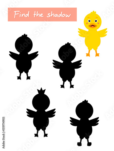Find the shadow of the duck. Educational game for attention.
