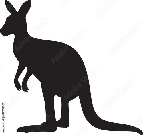 kangaroo with baby
