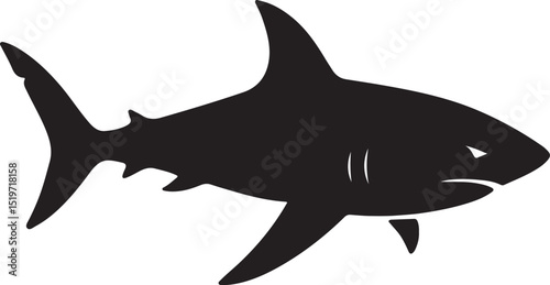 great white shark