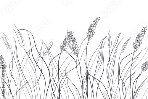 Wheat field background. Black silhouettes on white. Vector illustration.