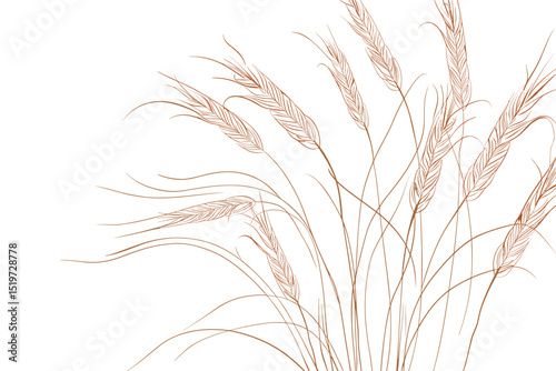 Wheat field background. Black silhouettes on white. Vector illustration.