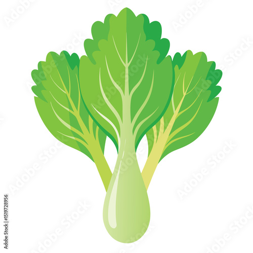 Fresh Bok Choy Illustration
