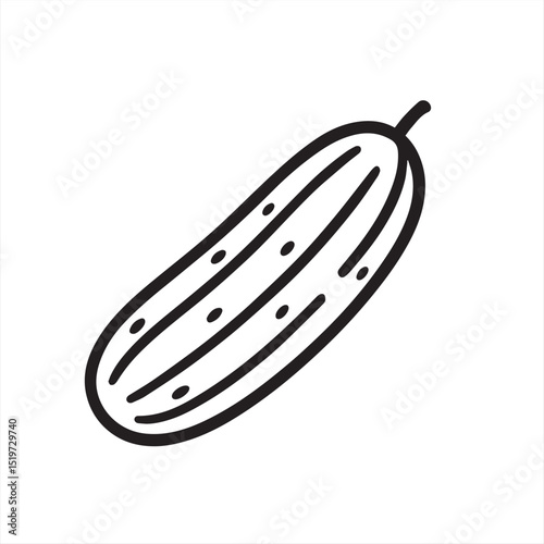 cucumber