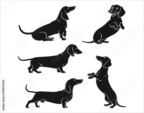 Dachshund Pet Silhouette Vector Collection