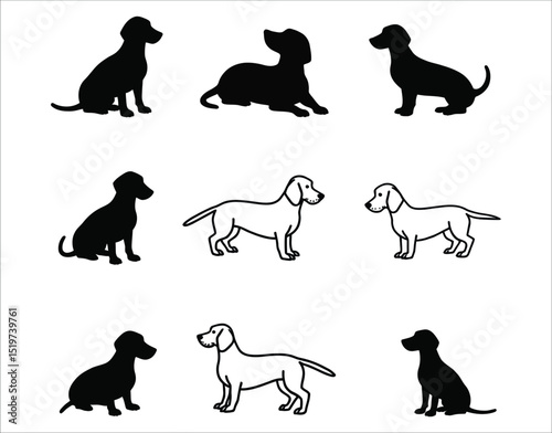Standing and Walking Dachshund