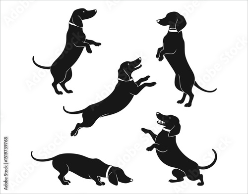 Playful Dachshund Silhouette Vector Pack