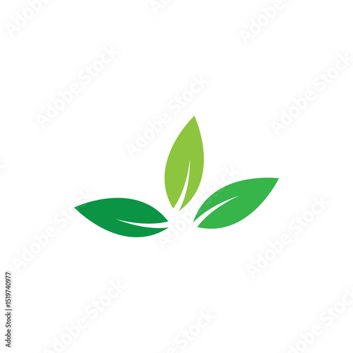 Leaf green logo and symbol vector