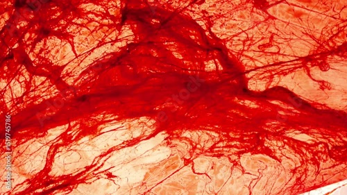 Blood threads background. Hair in blood texture.True Crime Wallpaper. 4k footage