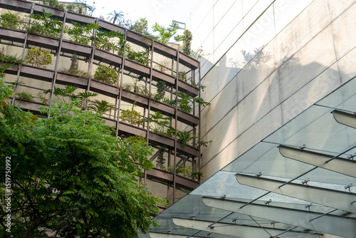 Sustainable building in Mexico City with curved green terraces and abundant vegetation, seen from ground level in daylight for eco-architecture and modern design concepts. photo