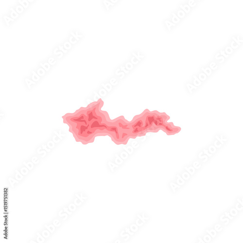 Herpes Zoster virus Illustration