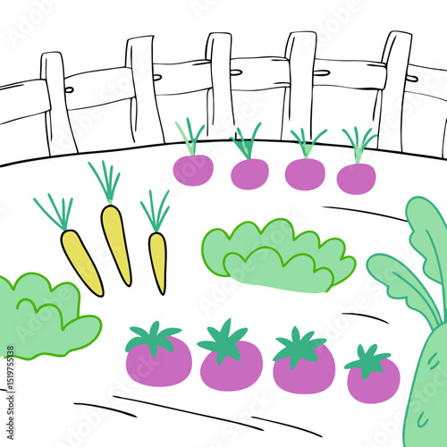 Colorful vegetable garden with carrots, tomatoes, and lettuce plants  