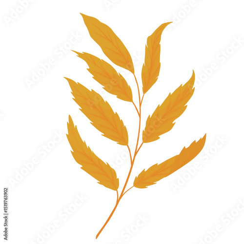  rowan leaf. Hand drawn autumn. vector illustration. Isolated on a white background. branch of a deciduous tree.