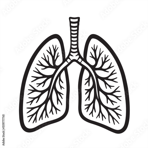 vector illustration of a lungs