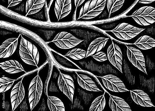 Black and white sketch vector of abstract botanical branches and leaves, minimal organic shapes, modern wall art style