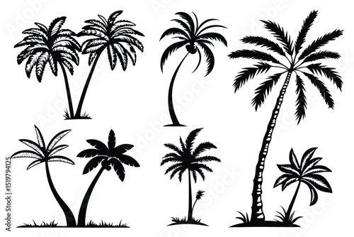 set of palm trees silhouettes vector design isolated on white background