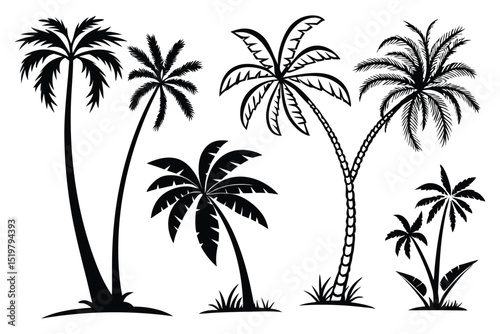 set of palm trees silhouettes vector design isolated on white background