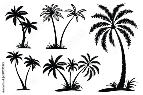 set of palm trees silhouettes vector design isolated on white background