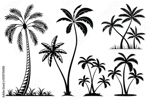 set of palm trees silhouettes vector design isolated on white background