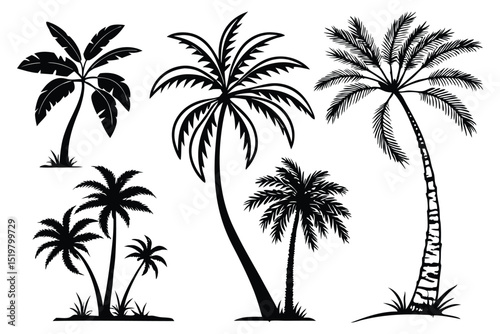 set of palm trees silhouettes vector design 