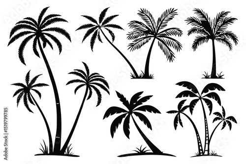 set of palm trees silhouettes vector design 