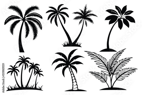 set of palm trees silhouettes vector design 