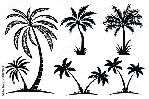 set of palm tree silhouettes vector 