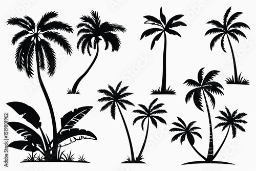 set of palm tree silhouettes vector 