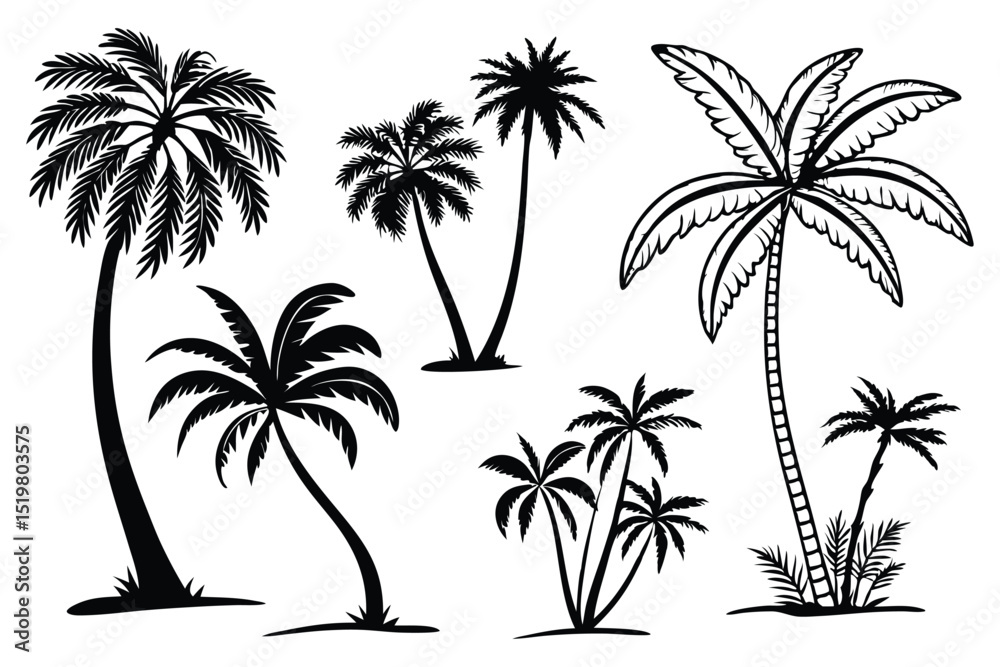 Fototapeta premium Tropical palm tree silhouette vector set – beach, summer, and vacation themed illustrations