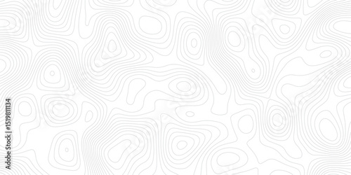 Abstract topographic contours map background, Vector contour topographic map background.geometric strip grid line topo map technology modern design white background