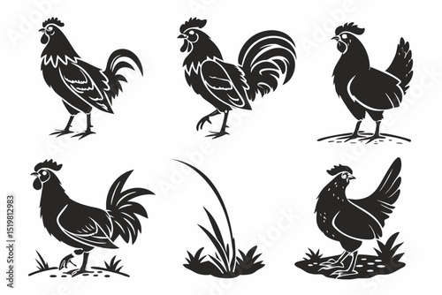 rooster and hen
