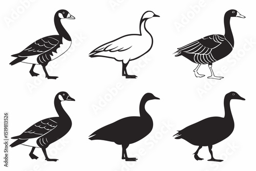 set of geese