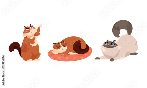 Charming Pixel Art Depicting Cats Engaging in Various Delightful Poses and Activities