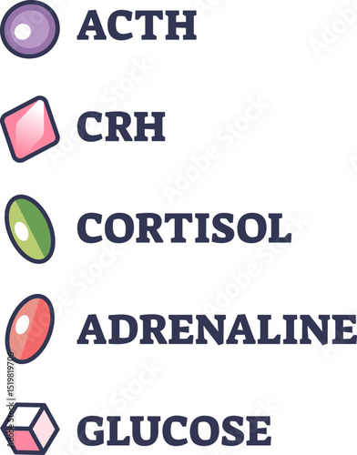 Illustration of hormones and chemicals: ACTH, CRH, Cortisol, Adrenaline, Glucose.