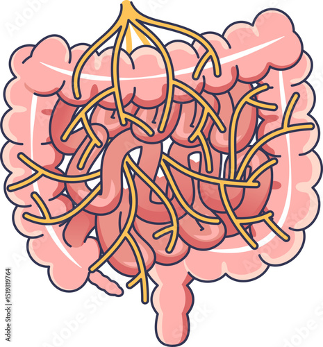Illustration of intestines with nerves, representing the enteric nervous system.