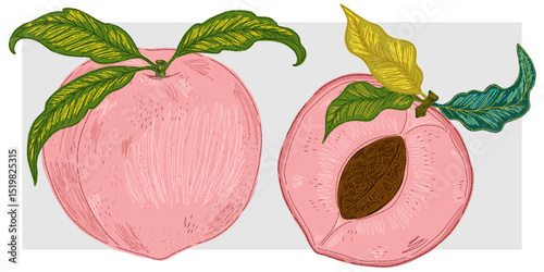 Mediterranean element, exotic tropical. Textured illustration with sketch elements hand drawn